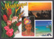 123783/ Martinique - Other & Unclassified