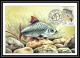 4554b/ Carte Maximum (card) France N°2663 Poissons (Fish) De France édition Cef Fdc 1990 - Pesci