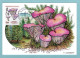 Carte Maximum 1987 - Nature De France - Champignons - Chanterelle Violette (Gomphus Clavatus) YT 2489 - Paris - 1980-1989