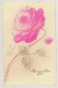 Lot De 16 Cartes De Voeux, Début 1900 - Gaufrées, Celluloïde - Fleurs, Muguet, Hirondelles, Brouette, Roses, Marie - Nouvel An