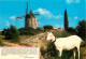 13 - Fontvieille - Le Moulin De Daudet - Chèvres - Carte Neuve - CPM - Voir Scans Recto-Verso - Fontvieille