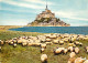 Animaux - Moutons - Le Mont Saint Michel - Les Moutons De Pré-salé - CPM - Voir Scans Recto-Verso - Other & Unclassified