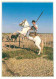 Animaux - Chevaux - Camargue - Gardians - Flamme Postale - Voir Scans Recto Verso  - Chevaux