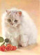 Animaux - Chats - Roses - Fleurs - Carte Neuve - CPM - Voir Scans Recto-Verso - Katzen