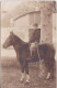 MILITARIA -  CARTE-PHOTO - MILITAIRE CAVALIER A CHEVAL - SABRE DE CAVALERIE MODELE 1822 ? - A IDENTIFIER - Uniformen