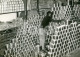 60s REAL PHOTO POSTCARD SIZE FOTO SAUCEPOTS WAREHOUSE ARMAZEM PANELAS INOX ANGOLA  AFRICA AFRIQUE AT111 - Africa