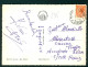 BF178 SEGGIOVIA S GIORGIO BOSCOCHIESANUOVA - VERONA - 4 VEDUTE 1956 - Other & Unclassified