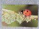 GERMANY-1228 - K 0424 - Öre Umwelt-Technik (Marienkäfer) - LADYBUG - 3.000ex. - K-Series : Customers Sets