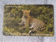 GERMANY-1229 - K 0384 - Zoo Köln - Jaguar - 3.000ex. - K-Reeksen : Reeks Klanten