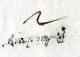 "BAYERN" 1797, Vorphila-Brief Mit L1 "V. Augsburg" (Fe. 148-7) (R2005) - Prefilatelia