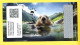 2024 Swiss Crypto Stamp 4.0 - ID 17 Swimming Natation ** Marmotte Tirage 7500 Exemplaires ! - Ongebruikt