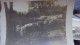 06 BELLE PHOTO DE  VALLAURIS LEGENDE FEV 1899 SUR LA ROUTE DE VALLAURIS MOUTONS TROUPEAU - Vallauris
