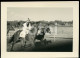 Delcampe - 3 PHOTOS SET1955 REAL AMATEUR PHOTO FOTO CORRIDA CAVALOS COURSE CHEVAUX CHEVAL HORSE RACE HORSES CASCAIS PORTUGAL AT105 - Deportes