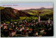 13905309 - Buetschwil - Andere & Zonder Classificatie