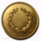 Médaille Congrès De Paris 1875, Topographie De France Par P.DAUSSIN - Royal / Of Nobility