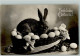 10490209 - Hasen - Ostern