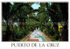 72765363 Puerto De La Cruz Paseo De Las Palmeras Puerto De La Cruz Tenerife - Sonstige & Ohne Zuordnung