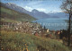 12468137 Weggis Vierwaldstaettersee Panorama Vierwaldstaettersee Alpen Weggis - Other & Unclassified