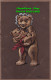 R385371 The Bear Mom Holds The Bear In His Hands. Post Card. 1909 - World