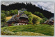 50719609 - Haus Aus Dem Schapbachtal - Hochschwarzwald
