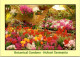 15-5-2024 (5 Z 11) Australia - TAS - Hobart Botanical Gardens (flowers) - Bloemen