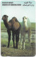 Kuwait - (GPT) - Young Camels - 29KWTA - 1995, Used - Koeweit