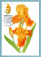 Carte Maximum Monaco 1990 - Osaka 90 - Exposition Florale Internationale Au Japon - Fleur : Iris Grace Patricia YT 1712 - Maximum Cards