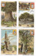 S 690, Liebig 6 Cards, Arbres Remarquables (ref B17) - Liebig