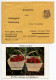 Germany 1937 Cover W/ Advert. & Strawberries Postcard; Winsen (Luhe) - P.H. Dohrn Nachflg., Gartenbau Und Bedarfsartikel - Lettres & Documents