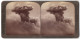 Stereo-Fotografie Underwood & Underwood, New York, Ansicht Martinique, Vulkanausbruch Des Montagne Pelee 1902  - Stereoscopic