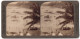 Stereo-Fotografie Underwood & Underwood, New York, Ansicht Colombo / Ceylon, Strand Am Mt. Lavina Hotel  - Stereoscopic