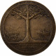 Maroc, Médaille, La Renaissance Du Maroc, 1926, Bronze, Vernier, SUP - Other & Unclassified