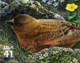 USA 2007 MiNr. 4310 Etats-Unis United States Alpine Tundra #9 Birds, Brown-capped Rosy-Finch 1v MNH** 0.90 € - Altri & Non Classificati