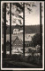 Fotografie Brück & Sohn Meissen, Ansicht Steinbach B. Johanngeorgenstadt, Blick Nach Dem Hotel Waldesruhe  - Places