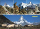 12365989 Zermatt VS Gornergratbahn Steinwild Kulmhotel Gornergrat Matterhorn Wal - Other & Unclassified