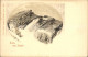 12316169 Saentis AR Berghaus Appenzeller Alpen Saentis AR - Other & Unclassified