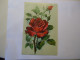 FRANCE   POSTCARDS  1919 GREETING  ROSES - Autres & Non Classés