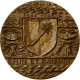 France, Médaille, Jean De Lattre, Rhin Et Danube, 1976, Bronze, SUP - Other & Unclassified