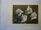 GERMANY   POSTCARDS  ROSES  STAMPS AND VIGNETTE 1960 - Sonstige & Ohne Zuordnung