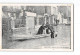 ASNIERES - Janvier 1910 - Un Sauvetage - Très Bon état - Asnieres Sur Seine
