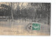 NEUVILLE - Inondations De Janvier 1910 - L'eau Dans La Prairie - Très Bon état - Neuville-sur-Oise