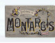 MONTARGIS : Carte Souvenir - état - Montargis