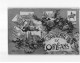 ORLEANS : Carte Souvenir - Très Bon état - Orleans