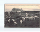 GRIS NEZ : Poste De Douaniers Et Moutons Broutant Sur La Falaise - Très Bon état - Autres & Non Classés