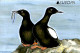 Faroe Islands 2019 Europa, Birds Booklet S-a, Mint NH, History - Nature - Europa (cept) - Birds - Stamp Booklets - Non Classés
