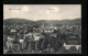 AK Bad Kissingen, Panorama Der Stadt  - Bad Kissingen