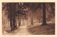 88-PLOMBIERES LES BAINS-N°4192-C/0195 - Plombieres Les Bains