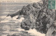 29-POINTE DU RAZ-N°4192-H/0081 - Altri & Non Classificati