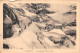 74-CHAMONIX-N°5142-C/0065 - Chamonix-Mont-Blanc