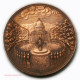 Médaille Louis Marie DE CORMENIN Par E. ROGAT 1842 - Professionnels / De Société